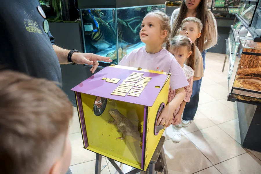 Коробка Mystery Box «Узнай, что внутри?» с бородатой агамой — Инсектопия, Москва